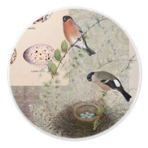 Vintage Botanical Bird Nest Eggs Cactus Ephemera Ceramic Knob