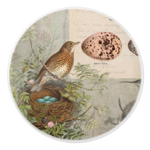 Vintage Botanical Bird Nest Eggs Script Ephemera Ceramic Knob