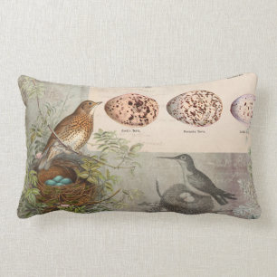 Vintage Botanical Birds Nest Eggs Grey Ephemera Lumbar Pillow