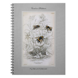 Vintage Botanical Bumble Bees  Notebook