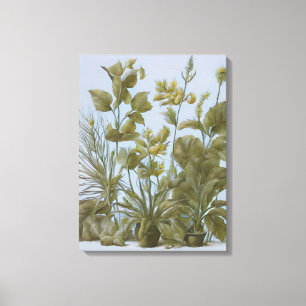 Vintage Botanical  Canvas Print