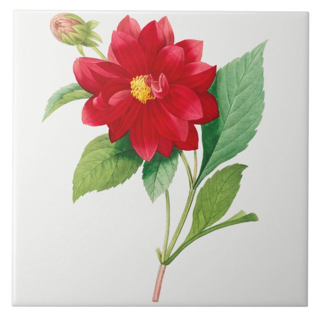 Vintage Botanical Ceramic Tile (Front)