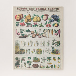 Vintage Botanical Chart: Economical Uses of Plants Jigsaw Puzzle