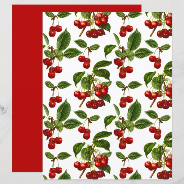 Vintage Botanical Cherries Print on White   (Front/Back)