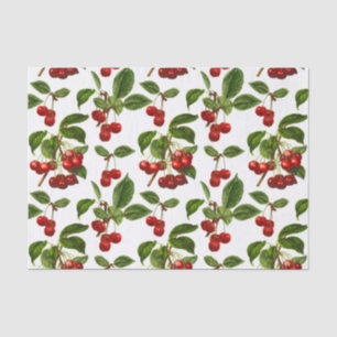 Vintage Botanical Cherries Print on White Tissue Paper
