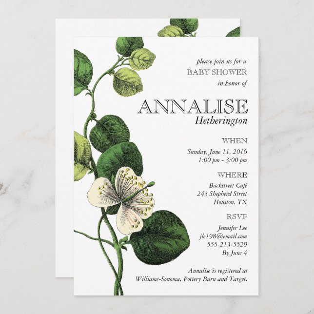 Vintage Botanical Chic Baby Shower Invitations (Front/Back)