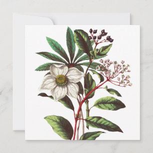 Vintage Botanical Christmas Rose Flower Bouquet