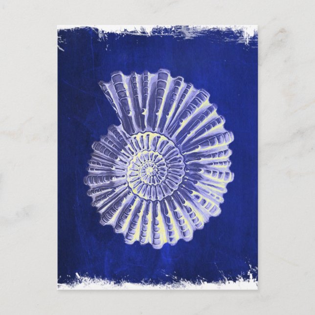 vintage botanical Coastal Blue White seashell Postcard (Front)