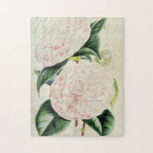 Vintage Botanical Countess of Derby Camellia Jigsaw Puzzle