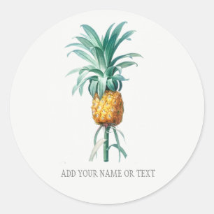 VINTAGE BOTANICAL ENVELOPE SEAL WITH PINEAPPLE