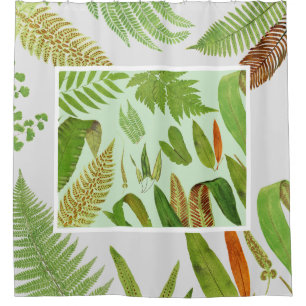 Vintage Botanical Ferns