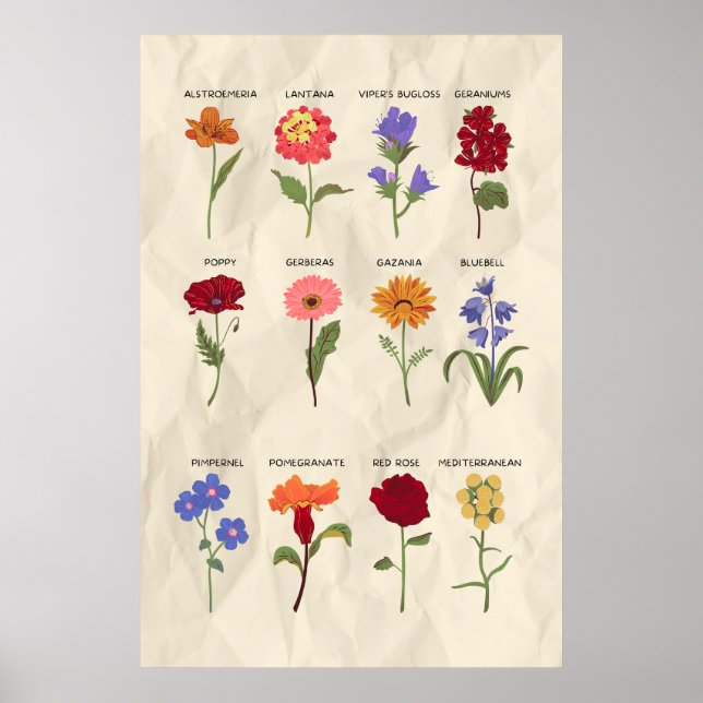 Vintage Botanical Floral Art Poster (Front)