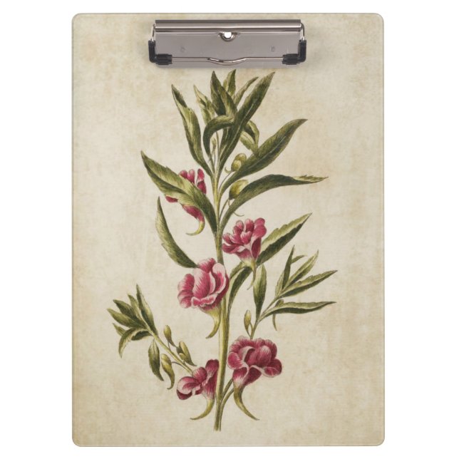 Vintage Botanical Floral Balsam Illustration Clipboard (Front)