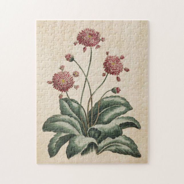 Vintage Botanical Floral Daisy Jigsaw Puzzle (Vertical)
