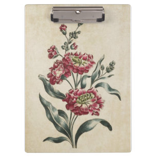 Vintage Botanical Floral Double Stock Illustration Clipboard