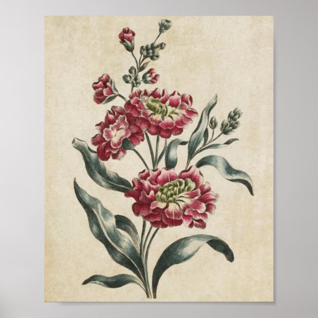 Vintage Botanical Floral Double Stock Print (Front)
