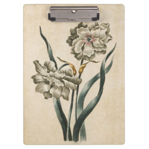 Vintage Botanical Floral Narcissus Illustration Clipboard