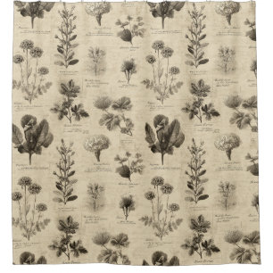 Vintage Botanical Floral Pattern (11)