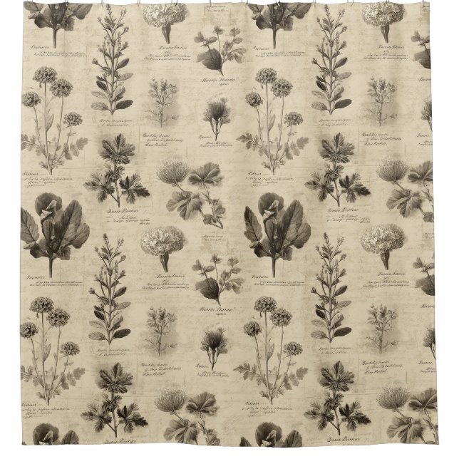 Vintage Botanical Floral Pattern (11) (Front)