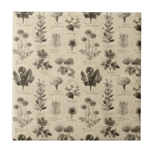 Vintage Botanical Floral Pattern (11) Tile