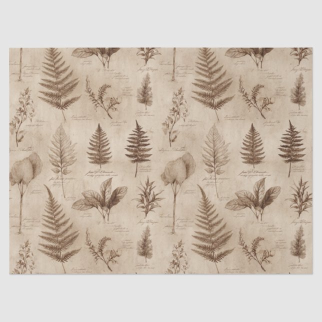 Vintage Botanical Floral Pattern (7) Tissue Paper (Front)