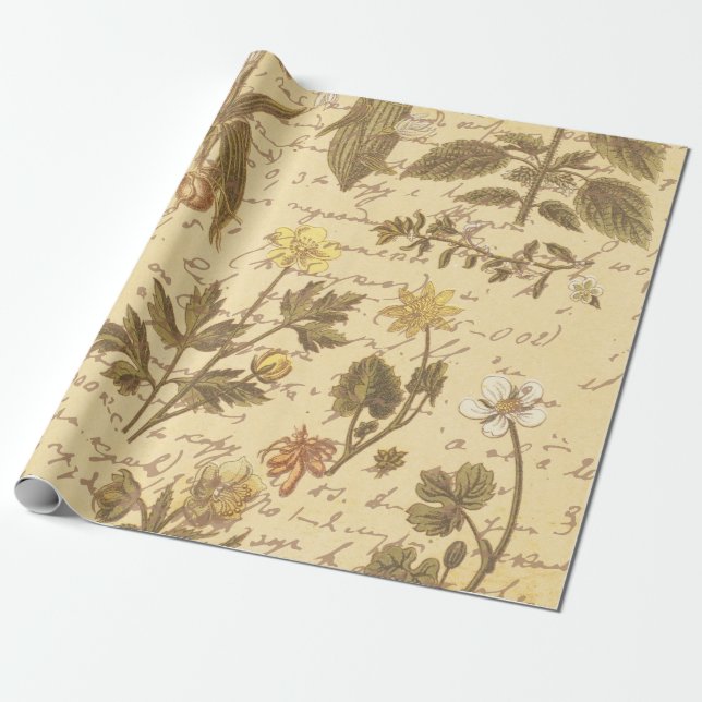 Vintage Botanical Floral Pattern Wrapping Paper (Unrolled)