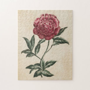 Vintage Botanical Floral Peony Jigsaw Puzzle