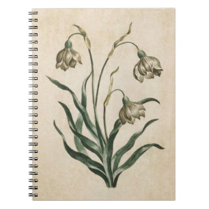 Vintage Botanical Floral Snowdrop Illustration Notebook