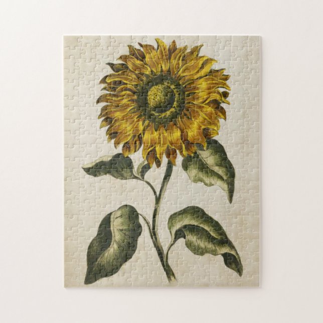 Vintage Botanical Floral Sunflower Jigsaw Puzzle (Vertical)