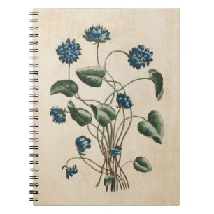 Vintage Botanical Floral Violets Illustration Notebook