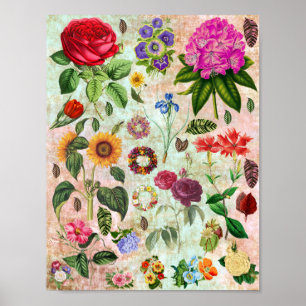 Vintage Botanical Flower illustrations Nature art Poster