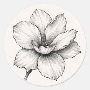 Vintage Botanical Flower Ink Sketch Line Classic Round Sticker