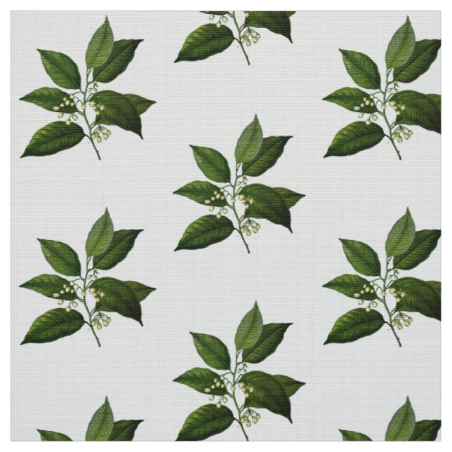 Vintage Botanical Foliage Print Fabric (Swatch)