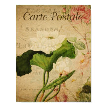 Vintage Botanical French Lotus