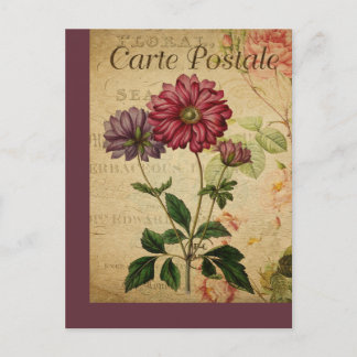 Vintage Botanical French Post Card Anemone
