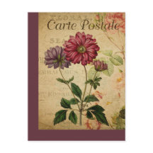 Vintage Botanical French Post Card Anemone
