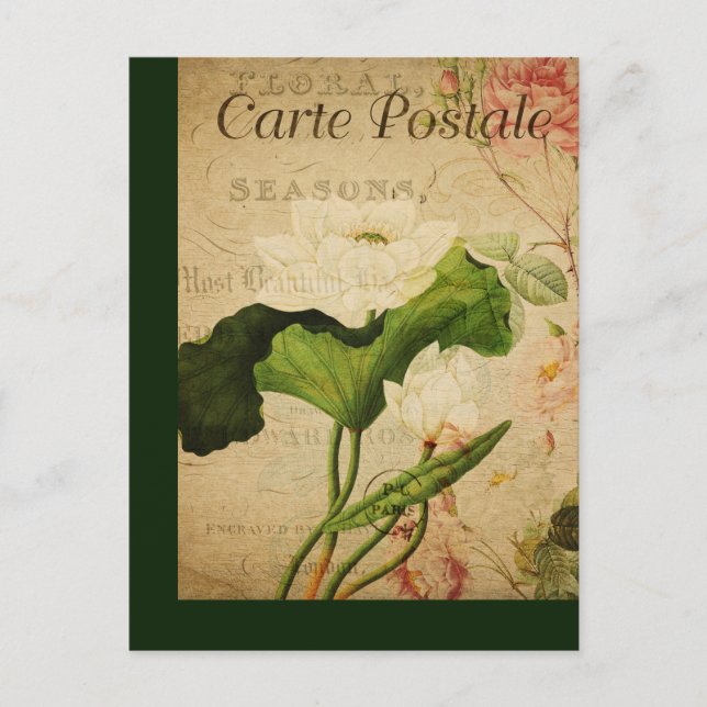 Vintage Botanical French Post Card Lotus (Front)