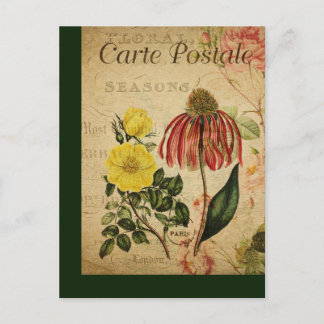 Vintage Botanical French Post Card Mix