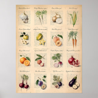 Vintage Botanical Fruits Vegetables Art Poster