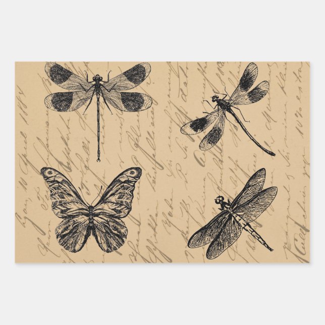 Vintage Botanical Grunge Butterfly Dragonfly Wrapping Paper Sheet (Front)