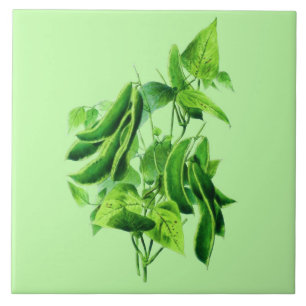Vintage Botanical Illustration, Bean Vine Tile