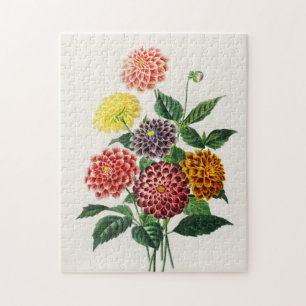 Vintage Botanical Illustration Dahlias 250 pieces Jigsaw Puzzle