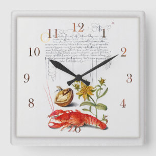 Vintage Botanical illustration insect and walnut. Square Wall Clock