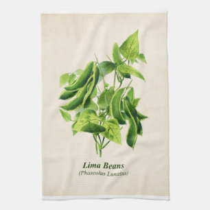 Vintage Botanical Illustration, Lima Bean Vine  Ki Kitchen Towel