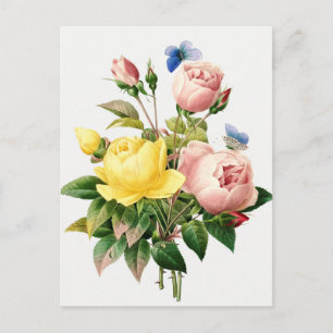 Vintage Botanical Illustration Postcard