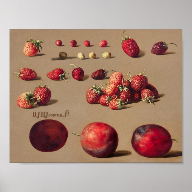 Vintage Botanical Illustration Poster (Front)