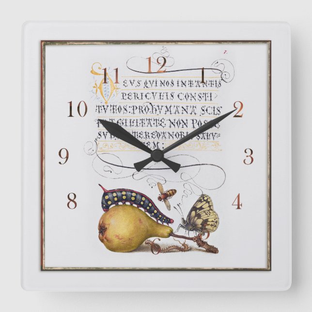 Vintage botanical illustration square wall clock (Front)