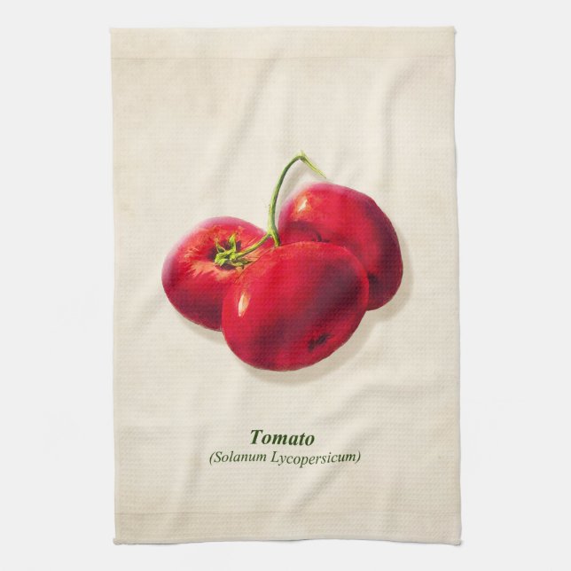 Vintage Botanical Illustration, Tomatoes Kitchen Towel (Vertical)