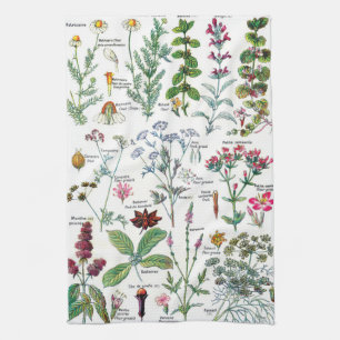 Vintage Botanical Illustrations Kitchen Towel
