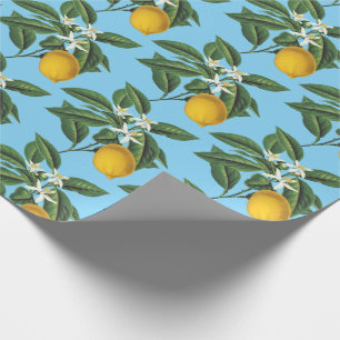 Vintage Botanical Lemon Fruit Blossom Blue Wrapping Paper